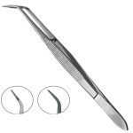 Cotton Forceps