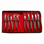 Dental Tool Kit