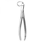 Extracting Forceps