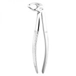 Extracting Forceps
